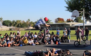 BMX Show - article thumnail image