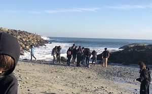 Dana Point Ocean Institute - article thumnail image