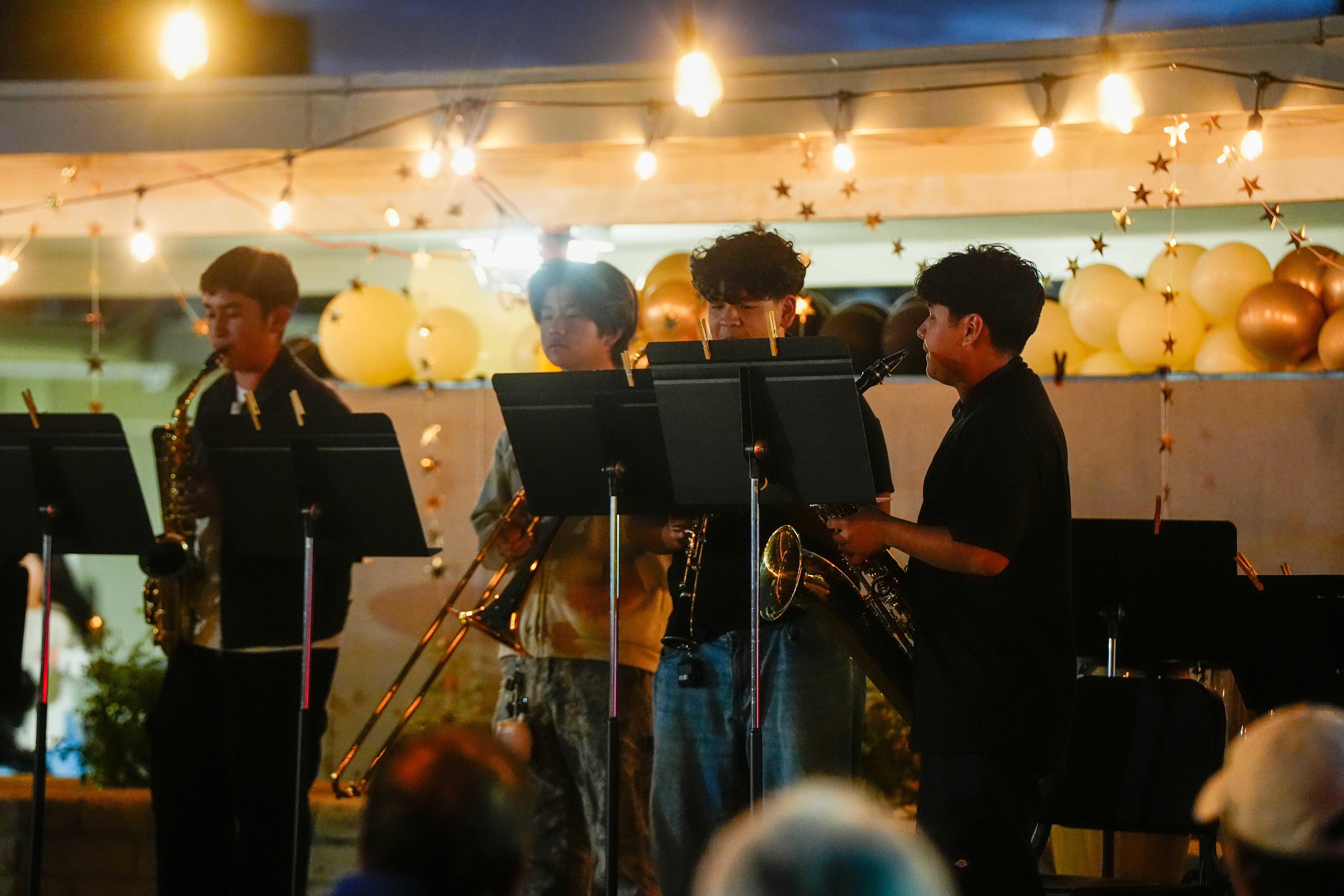 Music Under the Stars - article thumnail image